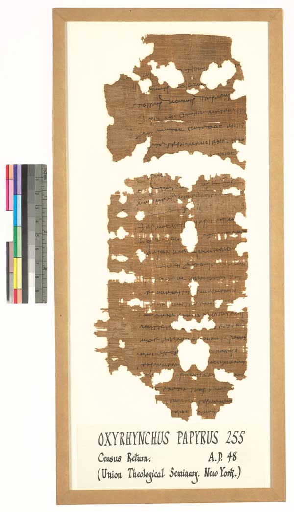 papyrus-egypt-census-6