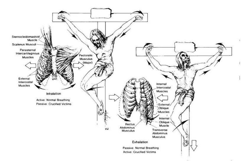Detail Anatomi dan Fisiologi Penyaliban dan Kematian Yesus 