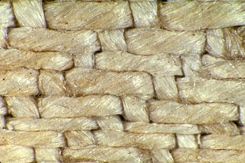 fibril-fiber-shroud